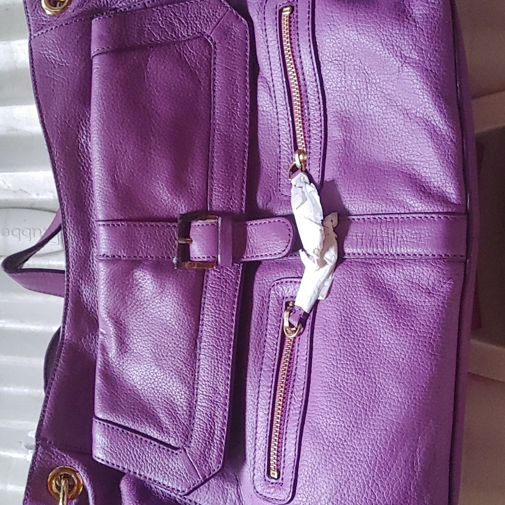 Max New York Purple Purse